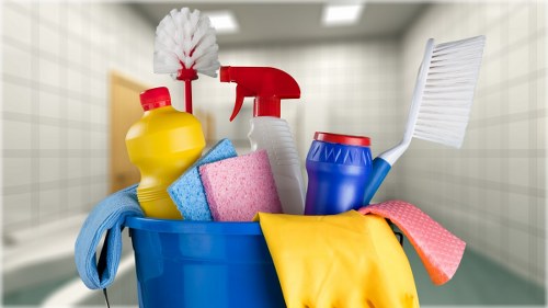 Professional pet stain and odour removal service for Clapham homes and flats