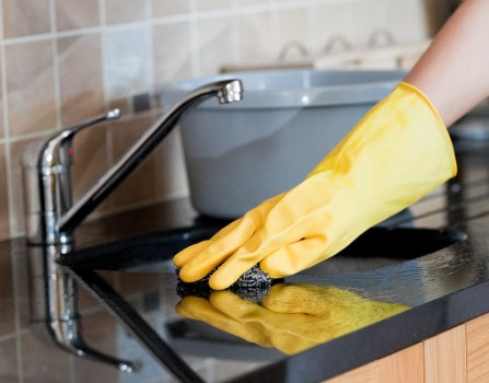 Professional carpet cleaning appointment terms and service conditions