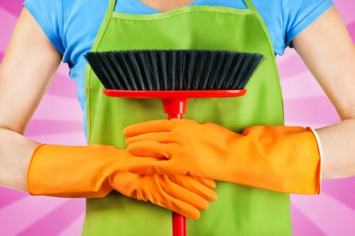 Mattress cleaning for residential and commercial customers in Clapham
