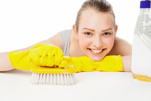 Domestic cleaning in a Clapham living room with tidy furnishings