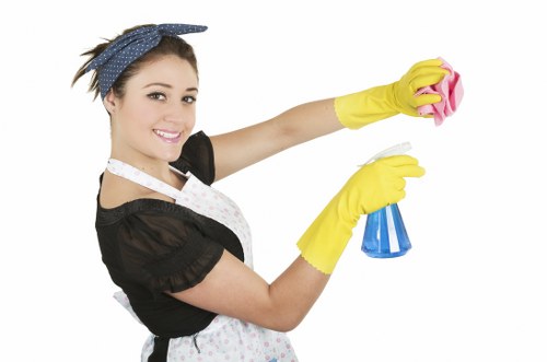 Local stain removal service for sofas, rugs, and chairs in Clapham