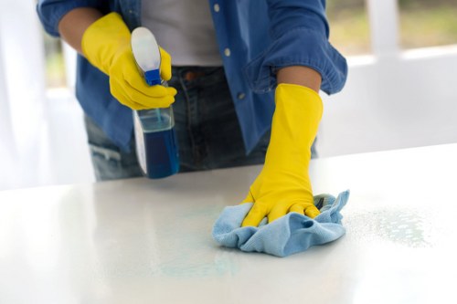 Spot treatment of a stubborn fabric stain in a Clapham property